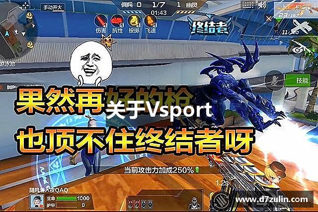 关于Vsport